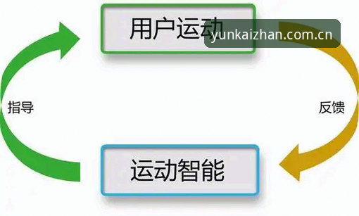 云开全站登录到底怎么操作？数字体育新手必看的实战指南
